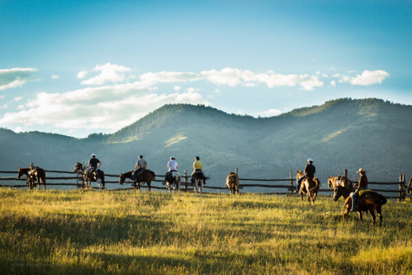 Bair Ranch Signature Series - Adventure Outdoors