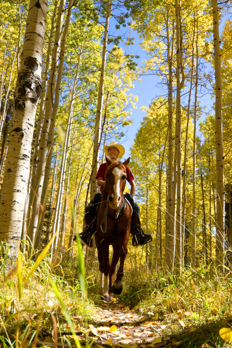 Horseback Riding at Bair Ranch